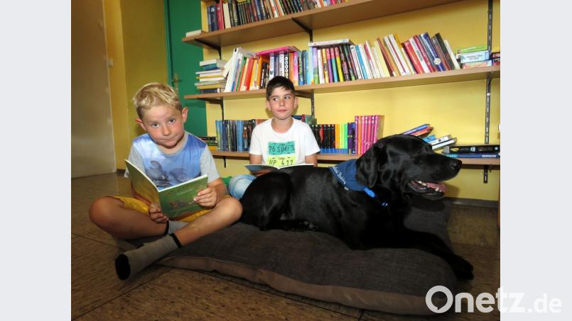 „Buddy, hör’ bitte mal zu!“, sagt Jonas (vorne) aus der zweiten Klasse. Buddy lässt sich das nicht zweimal sagen. Gemütlich streckt der große Hund alle vier Beine von sich auf dem riesigen Kissen im Klassenzimmer und lässt sich von den beiden Jungs, Jonas und Rene, eine lustige Geschichte vorlesen. Bild: ubb