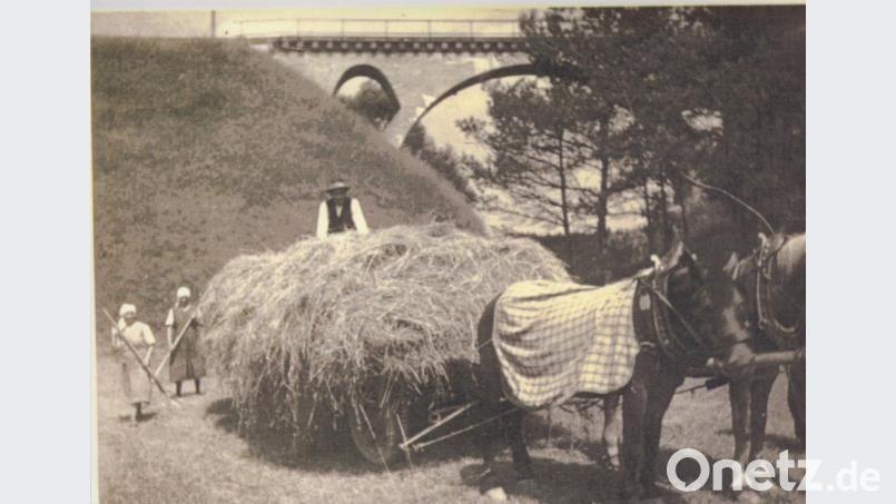 Landwirtschaftliche Arbeiten, im Hintergrund das Haager Viadukt. Archivbild: exb