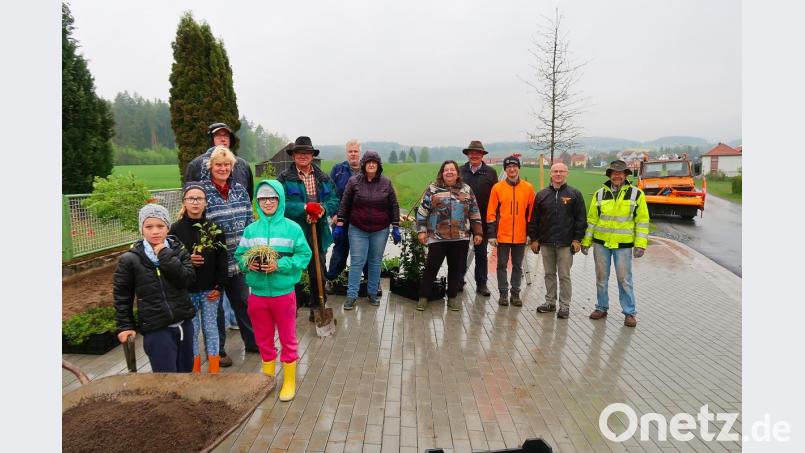 Mit Hilfe der Anwohner wurde der Eingangsbereich zum Ortsteil Siedlung der Gemeinde Friedenfels aufgewertet. Baumaßnahmen durch die Gemeinde und eine Pflanzaktion durch die Anlieger verschönern die Fläche um die Schulbushaltestelle. Bürgermeister Gottfried Härtl (Vierter von rechts) würdigte bei strömendem Regen das große ehrenamtliche Engagement der freiwilligen Helfer. Bild: bsc