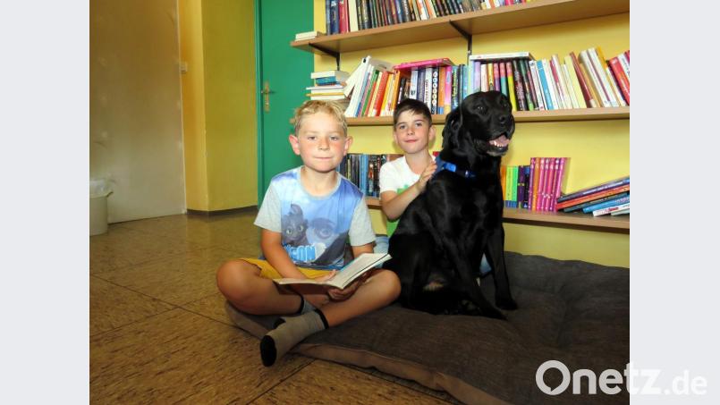 Jonas (links) und Rene sind wie alle Grundschüler sehr stolz auf Buddy, schließlich ist Mitterteich die einzige Schule im Landkreis, die einen Lesehund hat. Bild: ubb