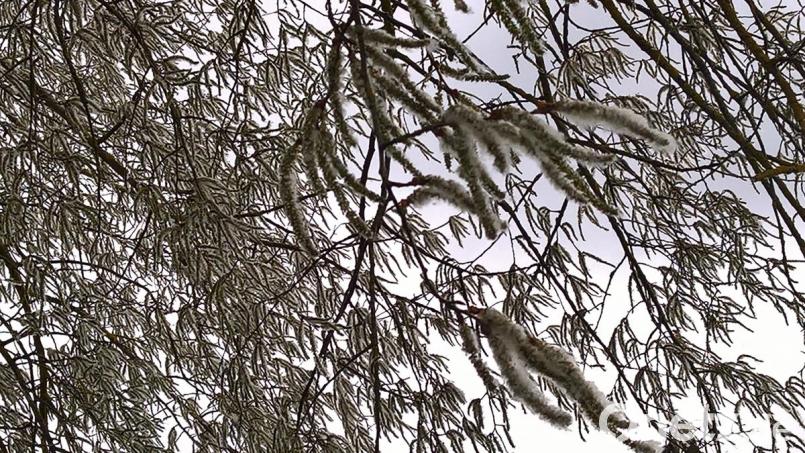 Ein Bild des Kontrastes. Einfach und schön. Bild: rpp