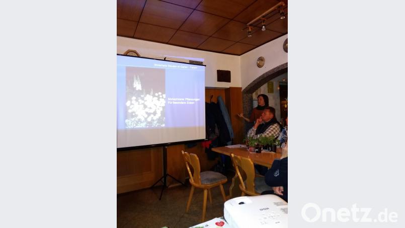 In der Jahreshauptversammlung des Obst- und Gartenbauvereins referierte Kreisfachberaterin Manuela Pappenberger (stehend) über Stauden. Bild: njn