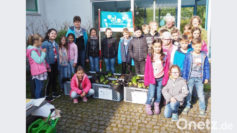Unter Anleitung von Fachoberlehrerin Petra Prölß (hinten links) und Gärtnermeister Lothar Förth setzten die Drittklässler Salate und Schnittlauch in Pflanzenkisten und säten Radieschen aus. Um knackige Salate und Knollen zu ernten, werden sie in nächster Zeit zusammen mit ihren Lehrkräften Nina Dümmelbeck (nicht im Bild) und Gertraud Kappl (hinten rechts) dafür Sorge tragen, dass die zarten Pflanzen alles bekommen, was sie zum wachsen und gedeihen brauchen. Bild: jpl