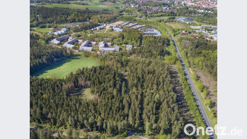 Gegen die Rodung von etwa vier Hektar Wald in diesem Bereich für einen Fahrübungsplatz der Bereitschaftspolizei machen die Bürger jetzt mobil. Bild: Thilo Hierstetter