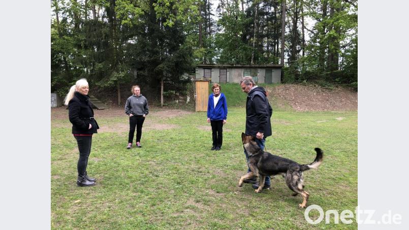 "Boro vom Wackerland“ muss sich mit Hundeführer Max Helgert bei der Fußarbeit in der Gruppe beweisen. Bild: ksi