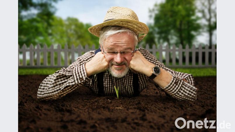 Ein bisschen müssen wir uns schon anstrengen, Geduld alleine reicht nicht. Nehmen Sie sich Dinge vor und setzen sie diese auch gezielt um, aber geben Sie sich die nötige Zeit. Bild:  lassedesignen – stock.adobe.com