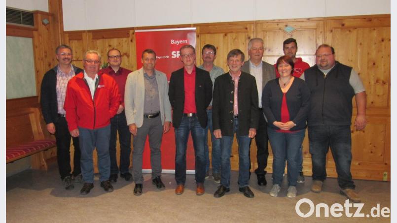Neuwahlen und Ehrungen standen bei der Jahreshauptversammlung des Freudenberger SPD-Ortsvereins an (von links): Franz Bruckschlegl, Bernhard Wallner, Thomas Hirn, Uwe Bergmann, Andreas Koch, Klaus Dotzler, Gerhard Dotzler, Reinhold Strobl, Elisabeth Strobl, Markus Schäffer und Thomas Binner. Bild: koa