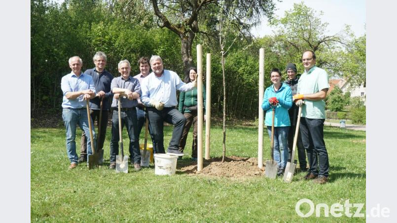 Die Anlage der Streuobstwiese an der Hockermühlstrasse ist eine Gemeinschaftsaktion des Amtes für Ernährung, Landwirtschaft und Forsten und der Forstbetriebsgemeinschaft. Bild: Balduin Schönberger, AELF Amberg