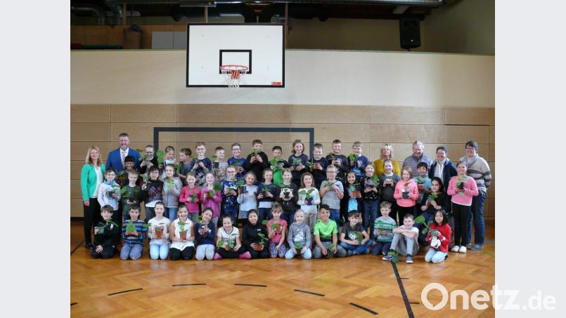 Die Drittklässer der Markgraf Diepold Grundschule können in den nächsten Wochen unter Beweis stellen ob sie den entsprechenden „Grünen Daumen“ haben und einen großen Kürbis als Ergebnis zum Beginn des nächsten Schuljahres vorweisen können. Bild: kgg