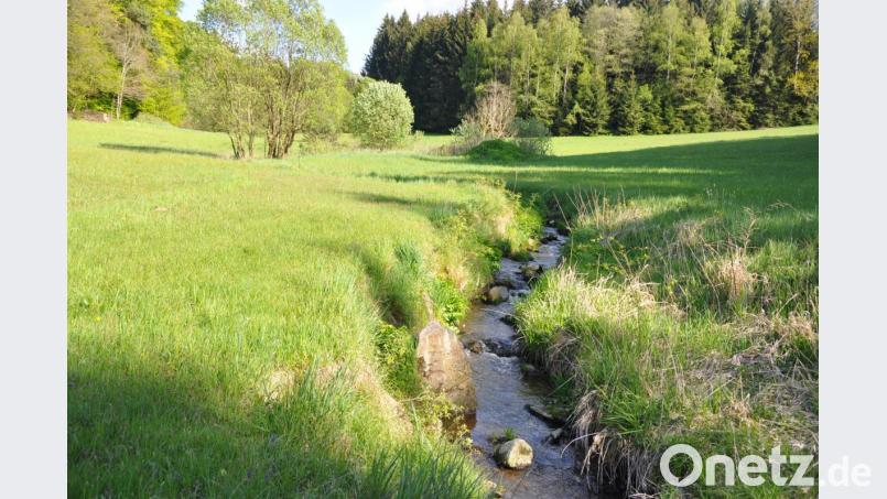 Der Kainzbach schlängelt sich durch das Tal. Bild: es