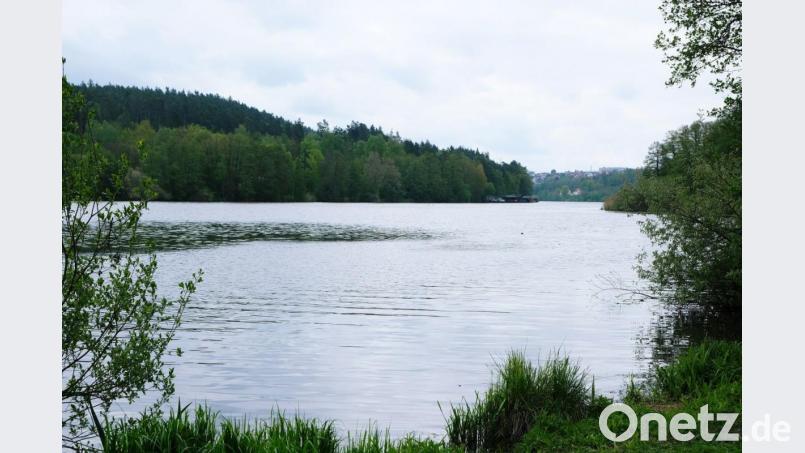 Der Rußweiher verschlammt zunehmend. Die CSU/ÜCW wirft dem Bürgermeister vor, zu einseitig an das Problem heranzugehen. Bild: do