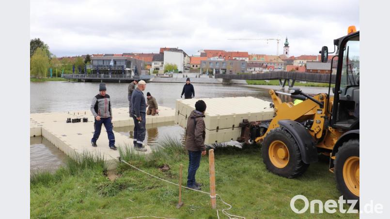 Vorbereitung für den "cooltour"-Sommer im Fischhofpark. Im Bild: Fischhofpark-Fördervereinvorsitzender Vinzenz Rahn (links). Bild: exb