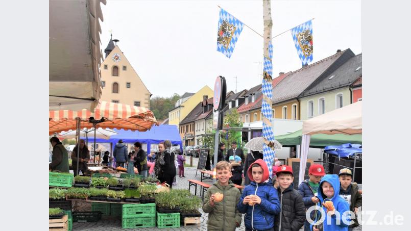 Zum Wochenmarkt hat der Bauhof auch einen Maibaum aufgestellt. Bild: rgr