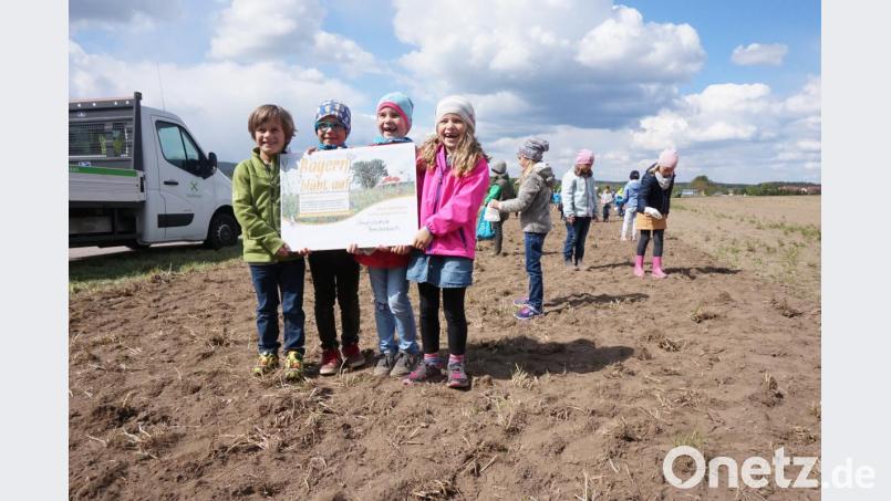 Die Grundschule Fensterbach beteiligt sich an der BBV-Aktion „Bayern blüht auf“. Alle 150 Schüler erhielten ein Päckchen mit einer Blühmischung und konnten die Samen auf der sechs Meter breiten und 300 Meter langen bestellten Fläche entlang des Radweges von Knölling nach Wolfringmühle klassenweise nachsäen. Bild: exb