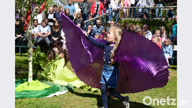Die kleine &quot;Raupe Nimmersatt&quot; hat sich in einen wunderschönen Schmetterling verwandelt. Bild: bey