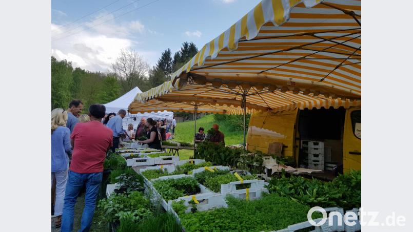 Ein großes Sortiment an Pflanzen, Blumen und Kräutern fanden die Besucher für ihren Garten. Bild: gi