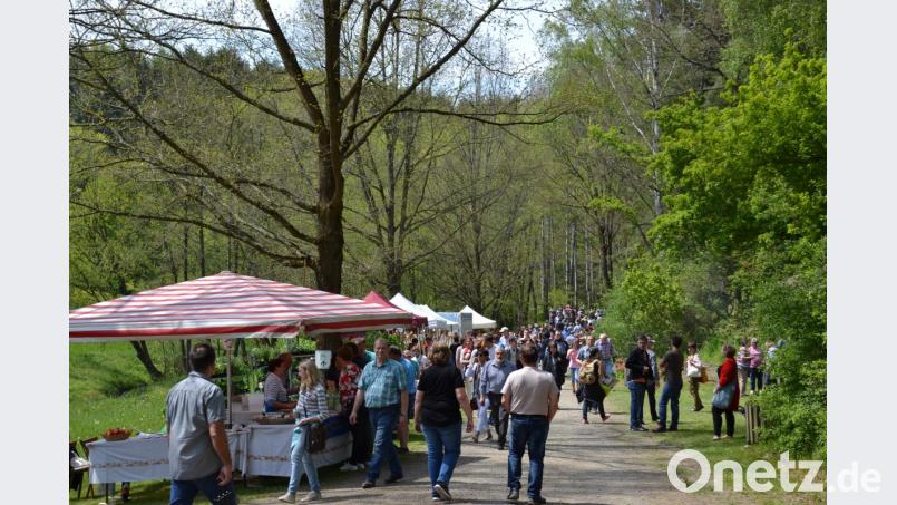 Der 10. Moosbacher Gartenmarkt war am Sonntag ein Besuchermagnet. Knapp 90 Aussteller stehen entlang einer
rund 600 Meter langen „Einkaufstraße“. Bild: gi