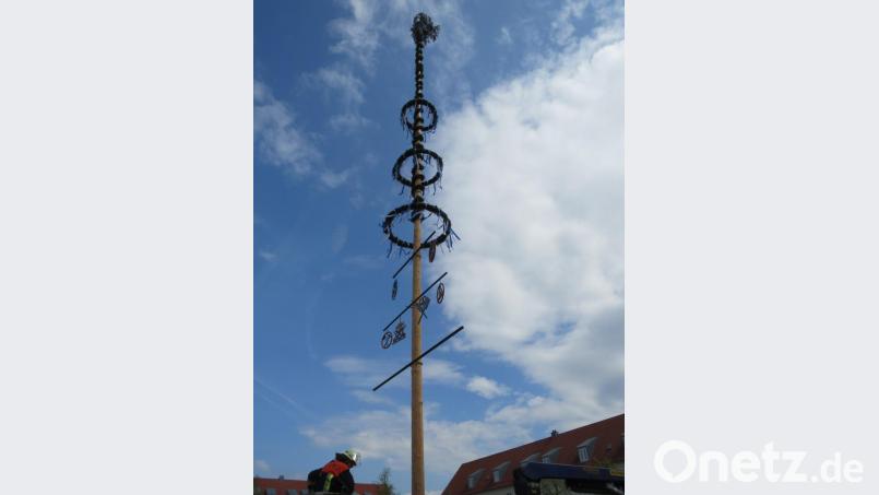 Der Wiesauer Maibaum. Bild: exb