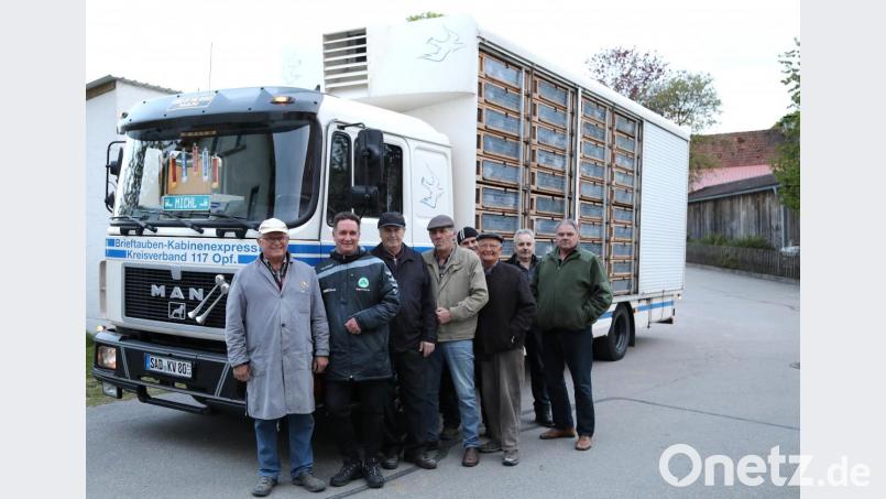 Der Kabinenexpress der RV Nabburg transportiert die rund 2000 Reise-Brieftauben der Züchter zum Auflassplatz. Bild: akp