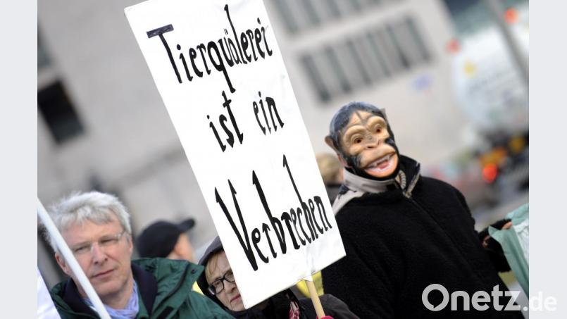 "Tierquälerei ist ein Verbrechen": So wie Tierfreunde bei einer Demonstration sieht es auch die Tierschutz-Organisation Peta. Sie hat 1000 Euro Belohnung ausgesetzt für Hinweise auf den Unbekannten, der in der vergangenen Woche in Hirschau einen Streichelhasen schwer misshandelt hat. Bild: Rainer Jensen dpa/lbn