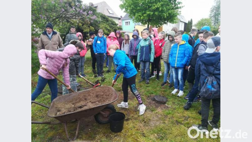 Die Firmlinge pflanzen im Pfarrhof einen Hollerbaum, dem zahlreiche positive Eigenschaften zugeschrieben werden. Bild: wrt