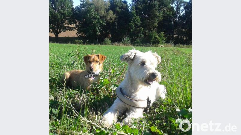 Mika und ihre Hundefreundin Taria. Bild: we