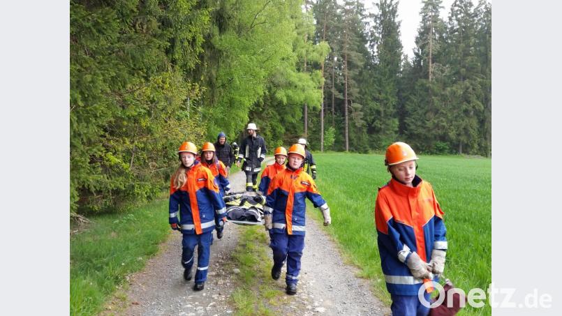 Die vermisste Person wurde gefunden und nun für den Rettungsdienst an eine Waldlichtung getragen. Bild: dob