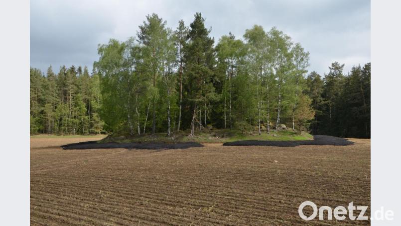 Kreisförmig umsäumt die schwarze, zähe Masse eine Baumgruppe auf einem Feld. Inzwischen sieht es dort nicht mehr so aus. Bild: dob