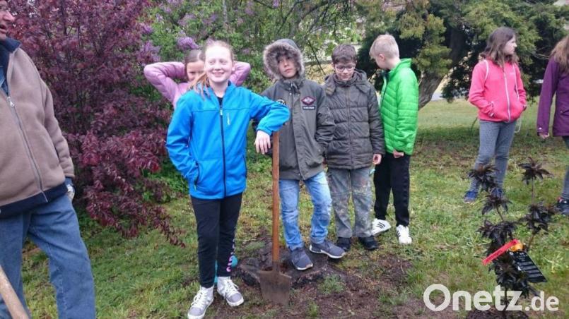 Die Firmbewerber pflanzen im Pfarrhof einen &quot;Hollerbaum&quot;. Bild: wrt