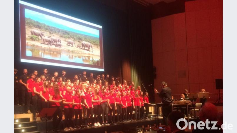 Der Chor selbst hat passende Hintergrundbilder mitgebracht und so sorgt bei &quot;Afrika&quot; eine Elefantenherde für die richtige Stimmung zum Song. Bild: sei