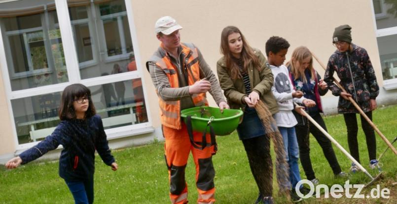 Stadtgärtner Florian Frank stand den Mittelschülern mit Rat und Tat zur Seite. Bild: jzk