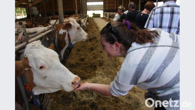 Bauernhof hautnah erleben: Möglich machte dies der Aktionstag des Bayerischen Bauernverbandes in Zusammenarbeit mit der Mühlhofer Familie Eichenseher. Bild: wro