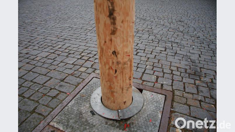 Der Baum blieb nahezu unbeschädigt und darf stehen bleiben. An den Unfall erinnern nur die roten Lacksplitter und ein paar Kratzer. Bild: wro