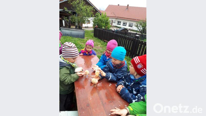 Auf dem Bauernhof gefiel es den Waldbären sehr gut. Bild: jzk