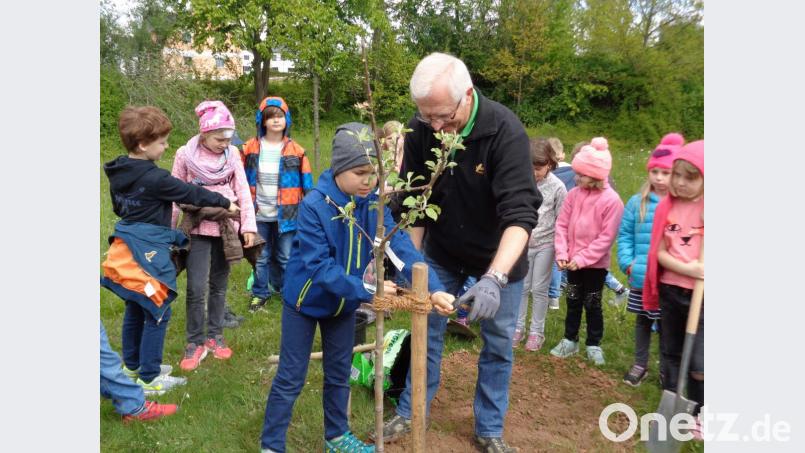 Zur zweiten Klimaschutzwoche des Landkreises pflanzten Hirschauer Erst- und Zweitklässler auf dem Schulgelände einen Carola-Apfelbaum. OGV-Vorsitzender Roland Maier unterstützte sie. Bild: u
