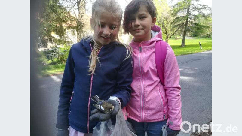 Auch ein toter Vogel wurde gefunden. Bild: twg