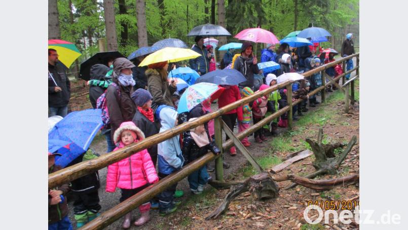 Den großen und kleinen Gästen gefiel es trotz des schlechten Wetters gut im Wildpark. Bild: mez