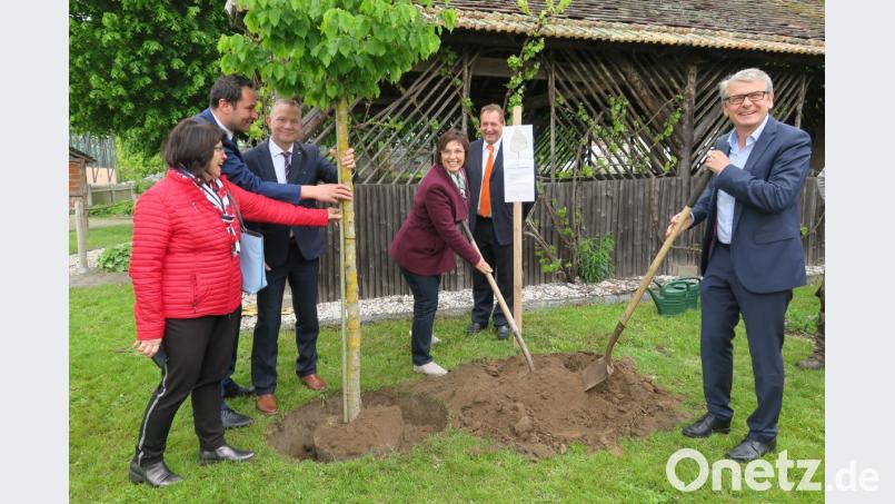 Europa-Abgeordnete Ulrike Müller (Mitte) pflanzte mit ihren Parteikollegen von den Freien Wählern im Guten-Hirten-Garten einen "Inklusions-Nussbaum". Bild: Hirsch
