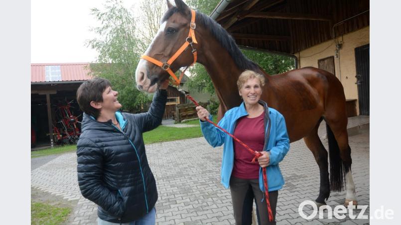 Heidrun Heiselmayer und ihr Pferd Calando verbringen zwei Nächte bei Helga Dirnberger (links) in Engleshof bei Pirk. Bild: Gabi Schönberger