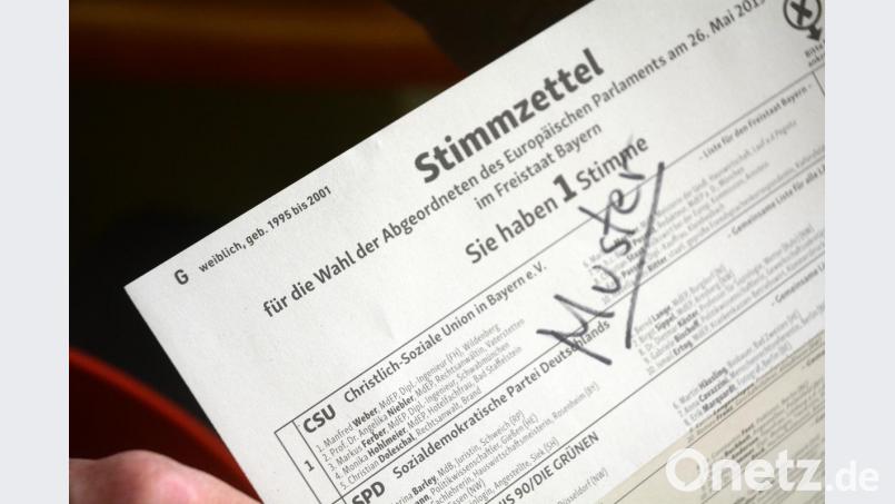 Der Muster-Stimmzettel für die Europawahl. Bild: Gabi Schönberger