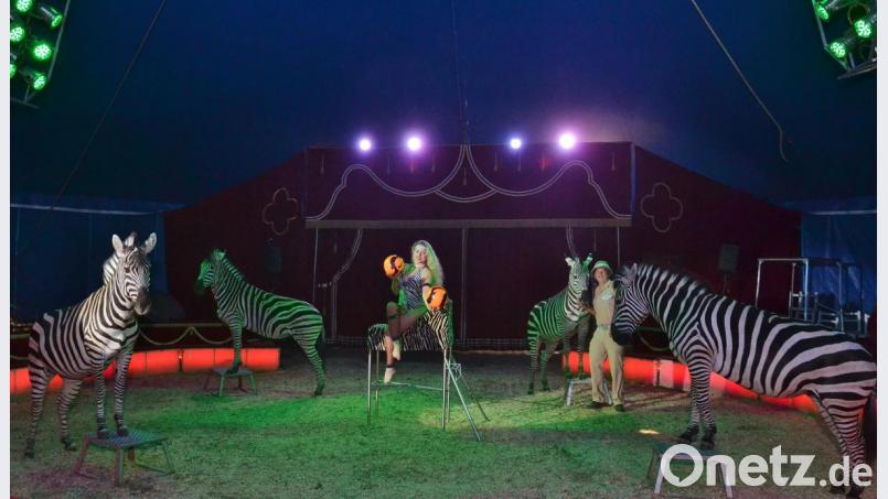 Zirkusprinzessin Kimberly Weisheit bei ihrer Show-Einlage. Bild: exb/Circus Afrika
