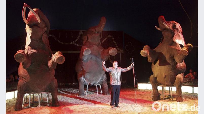 Die Elefanten-Dressur ist einer der Höhepunkte der Darbietungen des Zirkus Afrika. Bild: Zirkus Afrika