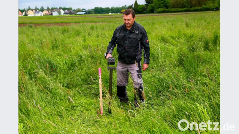Lothar Feustel prüft an einem geplanten Maststandort bei Krondorf, ob sich Blindgänger im Untergrund befinden. Bild: Hösamer