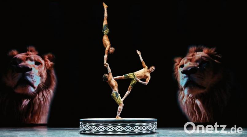 Akrobaten präsentieren künstlerische Choreographien. Bild: exb/Circus Afrika