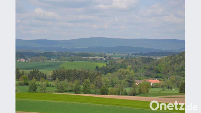 Wer vom Geo-Zentrum Richtung Norden blickt, wird mit einer herrlichen Aussicht belohnt. Der Kultur- und Tourismusausschuss war sich einig: Hier soll ein Landschaftskino entstehen. Bild: Lowak