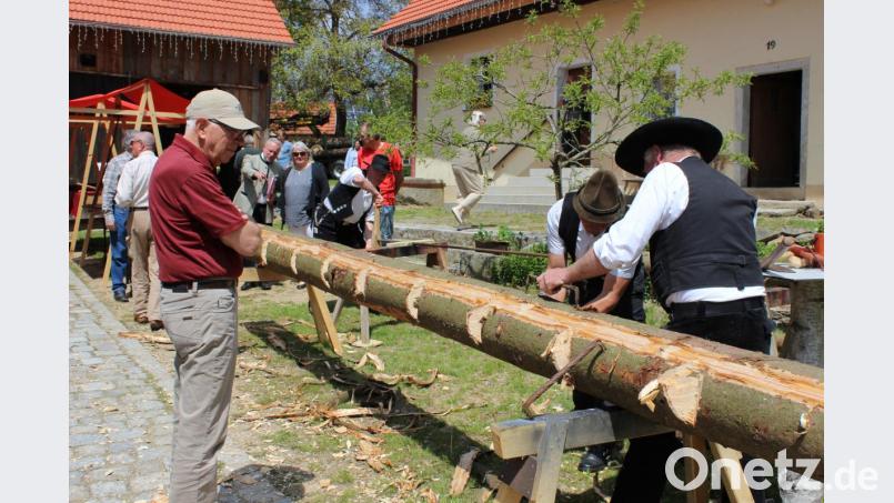 Die drei Zimmerer Johann Schmid, Heiner Hess und Paul Ippisch zeigten, wie früher Stämme zu Balken gehauen wurden. Bild: pko