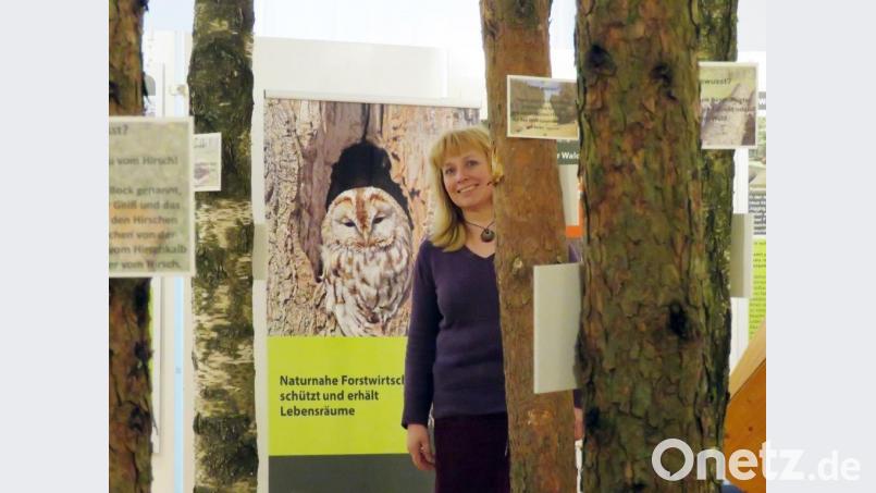 Um die Ausstellung naturnah zu gestalten, wurden echte Baumstämme ins Museum gebracht. Im Bild Museumsleiterin Eva Maria Keil. Bild: Gerhard Götz