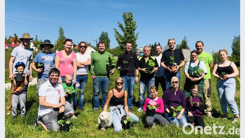 Die Kürbisaktion ist ein Spaß für alle, die einen grünen Daumen haben. Organisiert wurde sie von Simon Rauch (2. von rechts – stehend). Bild: wro