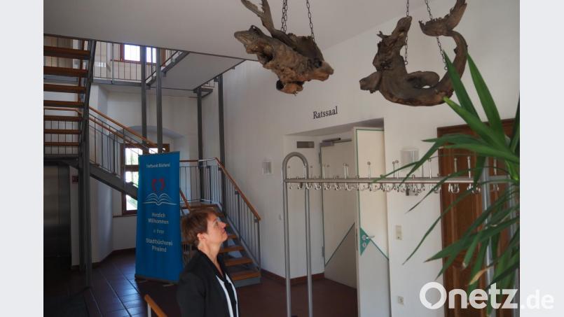 Museumsleiterin Carola Reul wirft einen Blick auf die Heringshaifische, die im Stadtmuseum einen Platz in der Vitrine bekommen sollen. Bild: bl