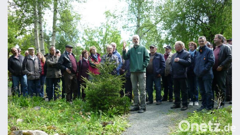 Bei einer Führung durch die weiträumigen Anlagen des Ökologisch Botanischen Gartens erläuterte Gregor Aas (Mitte) die Bedeutung exotischer Baumarten als Alternativen für die regionale Waldwirtschaft und stellte dabei einige nichtheimische Bäume vor. Dennoch sollte nach Möglichkeit heimischen Baumarten der Vorrang gegeben werden. Bild: haa